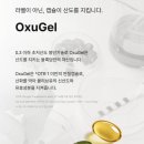 바로올레 | 올레정 공복 레몬 섭취 부작용?? 대신 정착한 올록담 후기