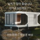 알파카라반 이미지