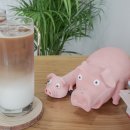 제주늘보의오후 이미지