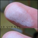 프레스트 이미지