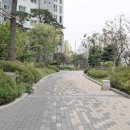 새힘공인중개사사무소 이미지