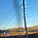 온양풍기초등학교 | [아산 온양풍기초 성교육]100명이 넘는 대규모 초6학년 아들 성교육 후기😉