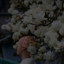 서정 작은 도서관 | 지친 일상에 위로가 되는 5가지 시집 추천 이제 잠시 쉬어가라고