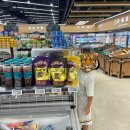 한정로1 이미지