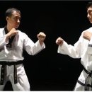 용인대 청목 mta 태권도 이미지