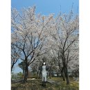 신라당과자점 | 나들이(feat.데일리룩, 두정동 맛집 - 서가장인곱창,장대포 돼지껍데기, 신라스테이 조식,뚜주르 거북이빵)
