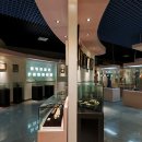 건강과 성 박물관 이미지