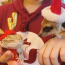 마리앤쥬(ZOO) 이미지