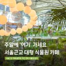 브릿지팜
