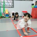 리틀아이 태권도장 이미지