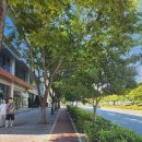 회복지압원 이미지