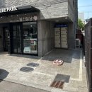 발라당냥 이미지