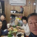 지동초 이미지