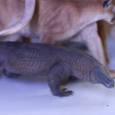 천성3D 네이버블로그