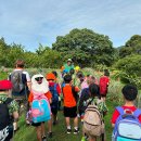 Year 3 students had an amazing visit to the Tropical Fruit Farm, Penang 이미지