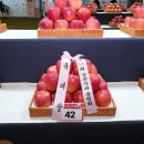 광원농장 이미지