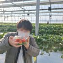 고교농장 | 온전히팜 단체교육 후기 농장투어 테라리움수업