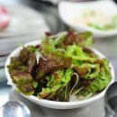 참돈