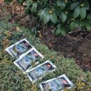 정남진농장 | 회복을 위한 선택! 정남진 장흥 '송백흑염소' 진액 후기 국내산 흑염소, 흑염소 농장, 흑염소 액기스...