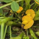 반월농장 이미지