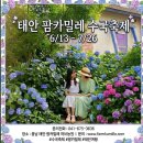 우주팜체험관광농원 | [태안 여행] 팜카밀레 허브농원 총정리: 입장료, 주차, 아이와 가볼 만한 곳