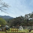 지리산하늘과바람과별과개 | 남원 애견카페 <지리산하늘과바람과별과개>에서 강아지와 낮잠타임