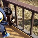 미로농장 이미지