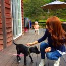 시실리펜션 이미지