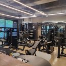 더 보스짐 이미지