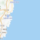 바닐라타바코