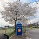 춘천 실외 가볼만한 곳|의암호 출렁다리 춘천사이로248 공지천유원지 주차 산책로 무료
