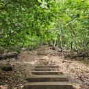 우면생태놀이터 이미지