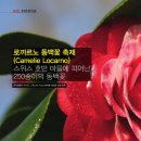 (주)동백미디어 이미지