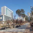 아임크로플 네이버블로그