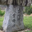 중앙인삼 이미지