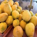 집밥&퓨전요리 | 나트랑 퓨전리조트 배달 k 이용 후기