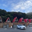 무아레도그라운드 이미지