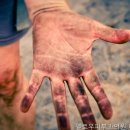 멜로우피부과의원 - 영등포구 가마산로 496 | 멜로우피부과의원