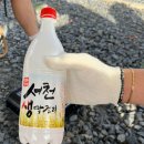 겔빠 이미지
