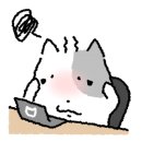 (주)위더스투어 이미지