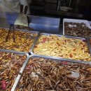 포항곤충농장 이미지