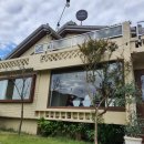 cafe lento 이미지