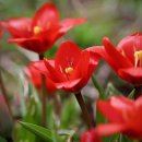 화랑헬스 이미지