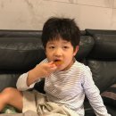 한남북엇국 이미지