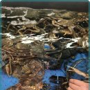 정수횟집 이미지