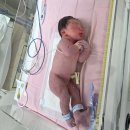 폴바셋고대구로 | 고대구로병원 초산모 유도분만 실패 후 제왕절개 후기(2) 제왕절개편 / 입원후기