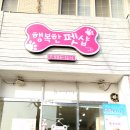 행복한펫샵 이미지