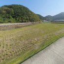 사등농장 이미지