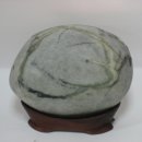 학-비상 이미지