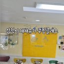 채채슈가